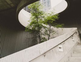 How to Make Your Business Environmentally Sustainable?