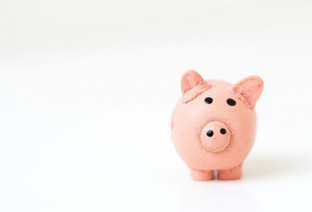 Saving Goal - pink pig figurine on white surface