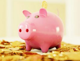 What Is Financial Literacy and Why Is it Important?