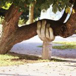 Support System - brown tree