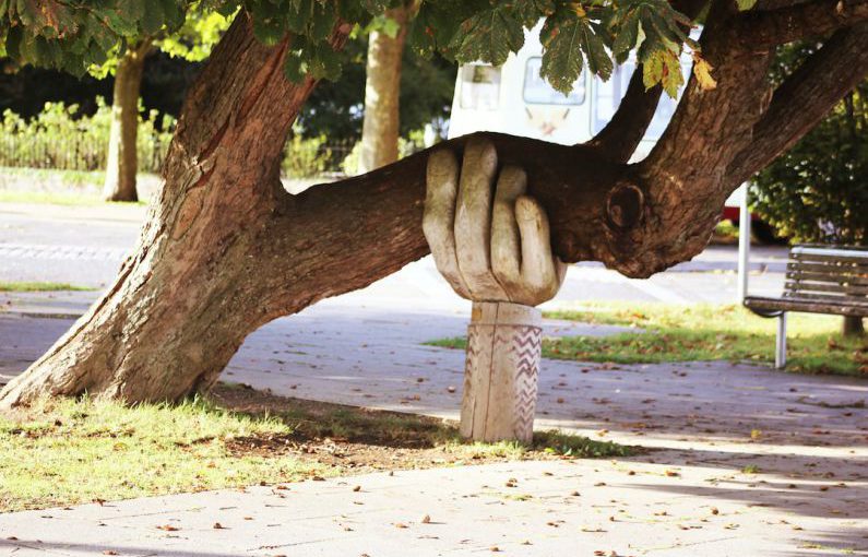Support System - brown tree
