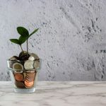 Financial Planning - green plant in clear glass cup