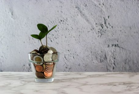 Financial Planning - green plant in clear glass cup