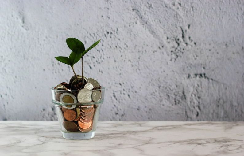 Financial Planning - green plant in clear glass cup