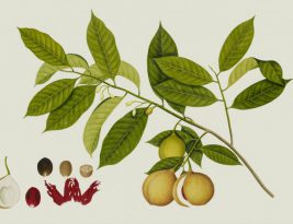 How to Diversify Your Investment Portfolio?