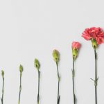 Impact Investing - pink flower on white background